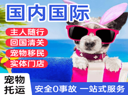西昌青山空运地址国际宠物托运 【国